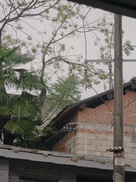 ตอนที่ 11 - ลิขิตรักข้ามเวลา