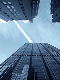 Episodio 12 - Cuando el amor llega tarde