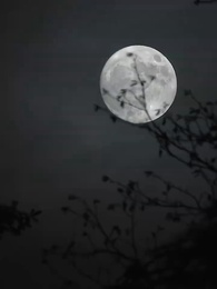 Episódio 1 - Preso no Corpo de Luna