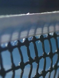 Episode 5 - Das verborgene Geheimnis des Meisters