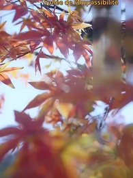 Renoncer à l'amour - Vers l'immortalité - Episode 2