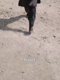 Throne of Deception: The General's Revenge - Episode 19