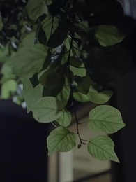 차가운 가면 아래 - Episode 42