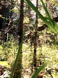 [Synchron] Das sich immer vermissende Paar - Episode 34