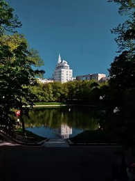 Gestohlene Erbin, ungestohlene Liebe - Episode 71