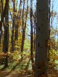 Chasing My Unwanted Mate - Episode 7