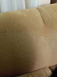 Episode 29 - Chasing My Unwanted Mate