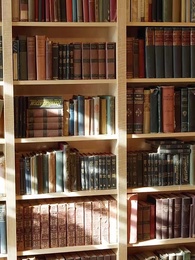 Episode 38 - Chasing My Unwanted Mate