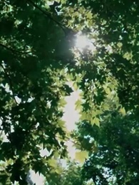 [Dublado] A Noiva Indesejada de Artur Fernandes - Episode 61