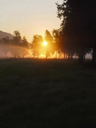 Chasing My Unwanted Mate - Episode 62