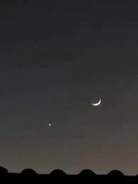 Episódio 83 - Renascida: Destino do Regente