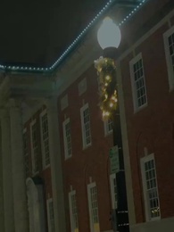 Épisode 29 - Niki et le Roi Alpha