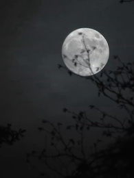 Episodio 1 - Una Transferencia del Alma de una Luna