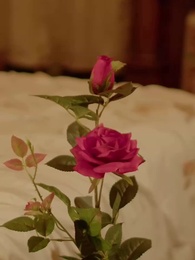 Niki et le Roi Alpha - Episode 77