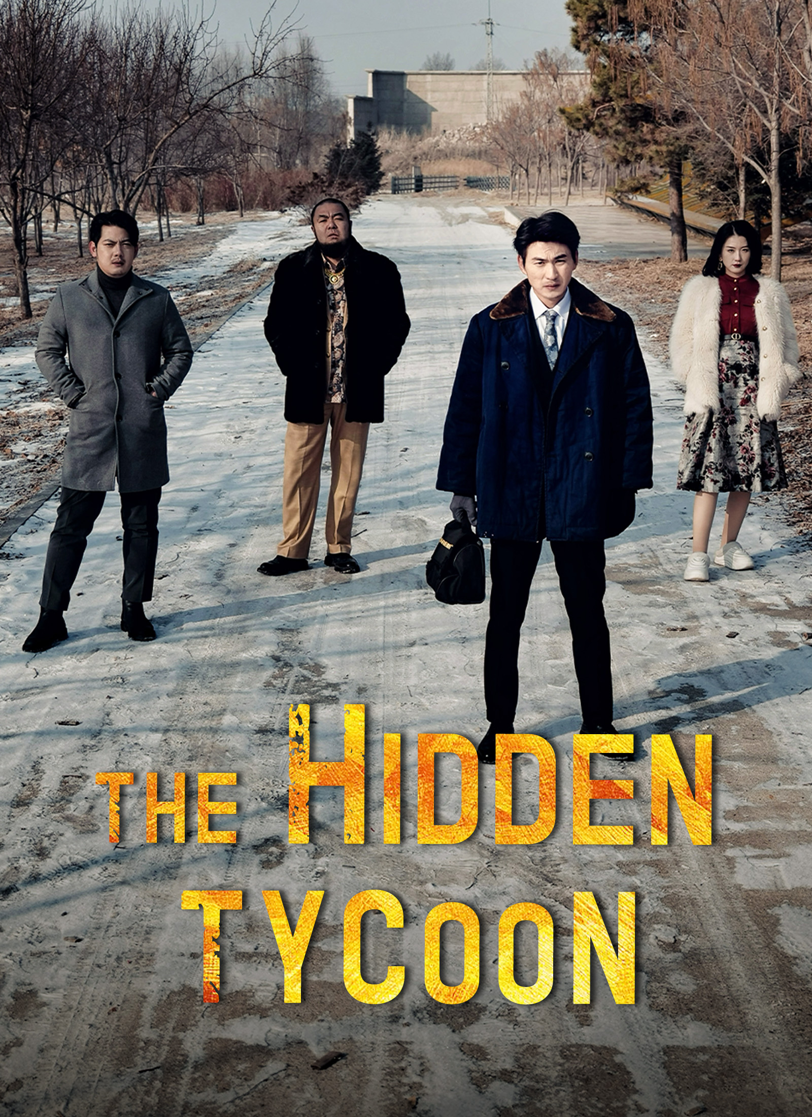 The Hidden Tycoon cover