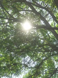 Una Transferencia del Alma de una Luna - Episode 8