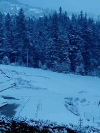 Épisode 39 - Niki et le Roi Alpha