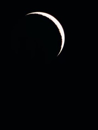 Niki et le Roi Alpha - Episode 51