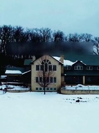 Épisode 7 - Niki et le Roi Alpha