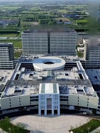 Episode 29 - Cinta Tanpa Rasa