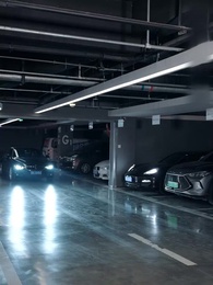 Episode 22 - Cinta Tanpa Rasa