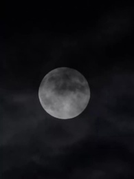 From Rags to Riches: My Mysterious Husband - Episode 8