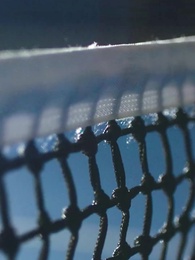 Épisode 5 - Le secret caché du champion