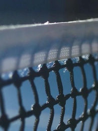 Episodio 5 - Un Secreto de la Campeona