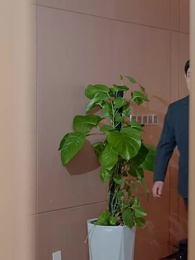 Episode 38 - Keuntungan Zaman: Jalan Cepat Menuju Puncak