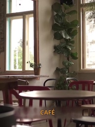 Episódio 24 - Virgem e grávida