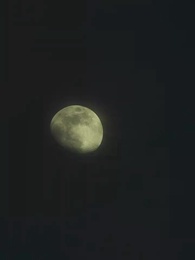 Episode 40 - Daddy, Your Debt Collector's Here