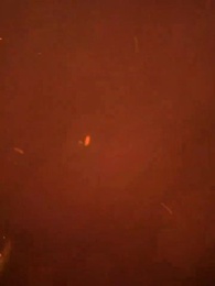 الحلقة 63 - قدر يجمعها بزوج مثالي