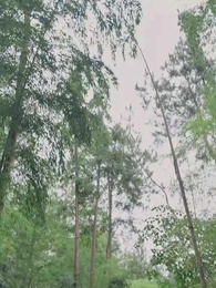 Satu Tebasan Tak Terkalahkan - Episode 20