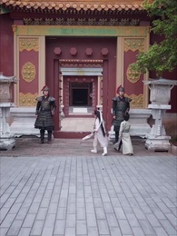 Hành Trình Theo Đuổi Phu Nhân Của Nhiếp Chính Vương - Episode 76