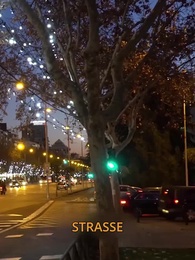 Episode 45 - Schwanger als Jungfrau