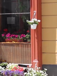 Episode 14 - Schwanger als Jungfrau