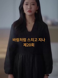 20화 - 바람처럼 스쳐지나