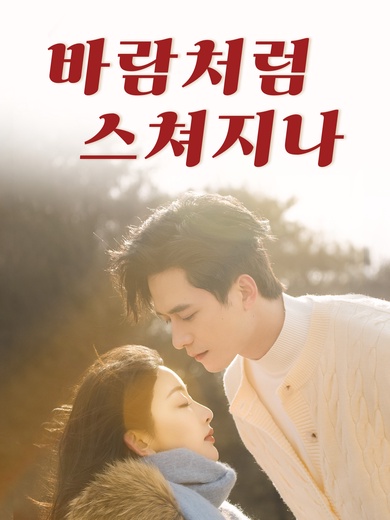 바람처럼 스쳐지나