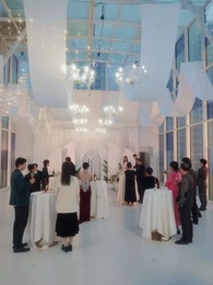 第65集 - 團寵千金的馬甲又被扒了