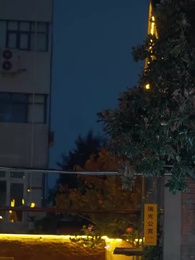 第8話 - 落札されたお嬢様