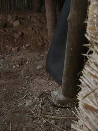 Sleep with My Brother-in-Law - Episode 32