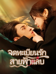 จดทะเบียนรัก สายฟ้าแลบ