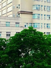 الأب الغني المفاجئ - Episode 19