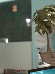 Episodio 42 - La Sposa Sostituta