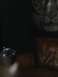 Episódio 43 - Herdeira Oculta, Amor Indesejado