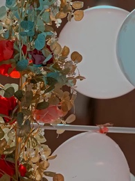 Episodio 10 - La Sposa Sostituta