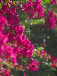 Amor em Cena - Episode 8