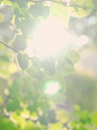 第74集 - 好一個乖乖女