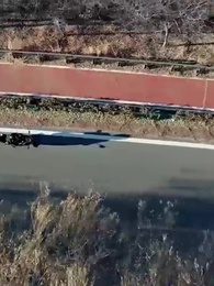 第40集 - 機智誘惑