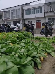 Episode 20 - Rich & Ridiculous